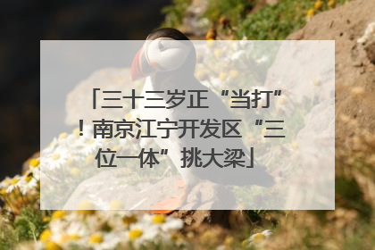 三十三岁正“当打”！南京江宁开发区“三位一体”挑大梁