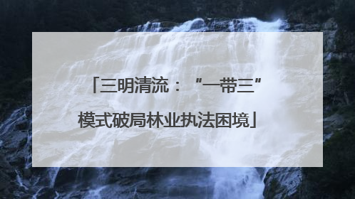 三明清流：“一带三”模式破局林业执法困境