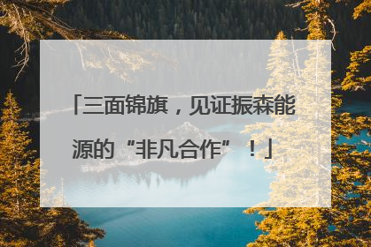 三面锦旗，见证振森能源的“非凡合作”！