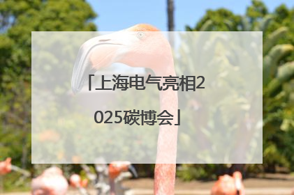 上海电气亮相2025碳博会