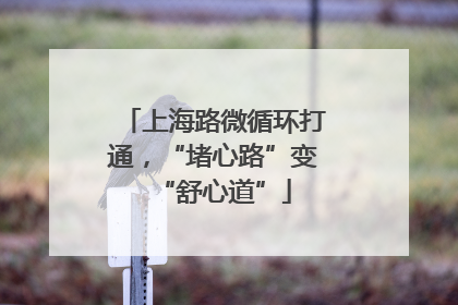 上海路微循环打通，“堵心路”变“舒心道”