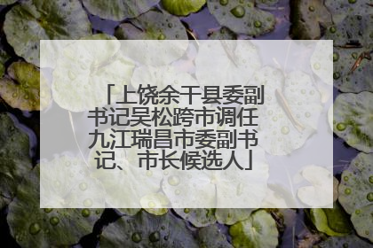 上饶余干县委副书记吴松跨市调任九江瑞昌市委副书记、市长候选人