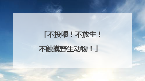 不投喂！不放生！不触摸野生动物！