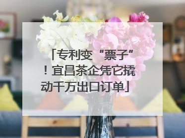 专利变“票子”！宜昌茶企凭它撬动千万出口订单