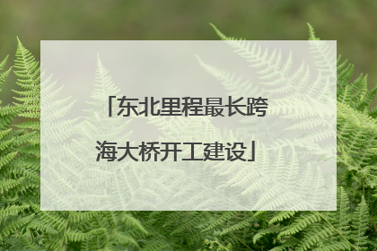 东北里程最长跨海大桥开工建设
