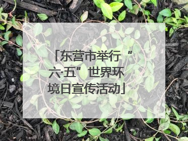 东营市举行“六·五”世界环境日宣传活动
