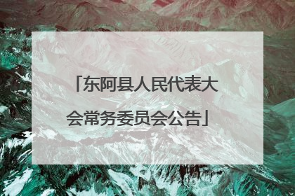 东阿县人民代表大会常务委员会公告