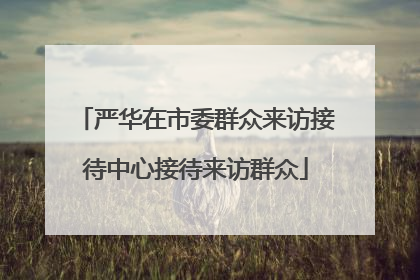 严华在市委群众来访接待中心接待来访群众