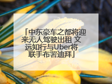 中东豪车之都将迎来无人驾驶出租 文远知行与Uber将联手布署迪拜