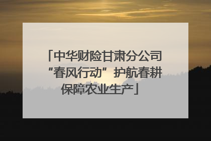中华财险甘肃分公司“春风行动”护航春耕 保障农业生产