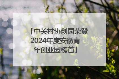 中关村协创园荣登2024年度安徽青年创业园榜首