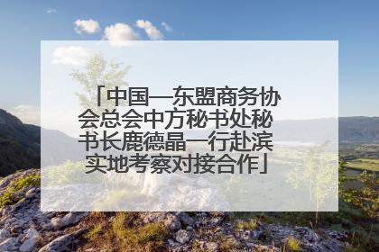 中国—东盟商务协会总会中方秘书处秘书长鹿德晶一行赴滨实地考察对接合作