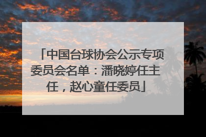 中国台球协会公示专项委员会名单：潘晓婷任主任，赵心童任委员