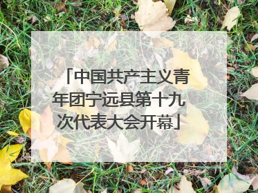 中国共产主义青年团宁远县第十九次代表大会开幕