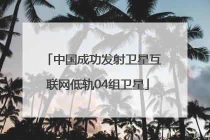 中国成功发射卫星互联网低轨04组卫星