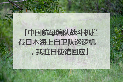 中国航母编队战斗机拦截日本海上自卫队巡逻机，我驻日使馆回应