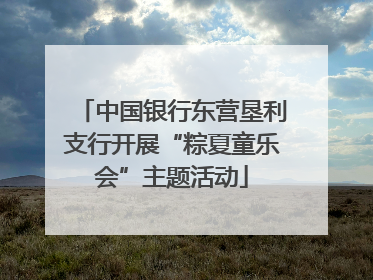 中国银行东营垦利支行开展“粽夏童乐会”主题活动