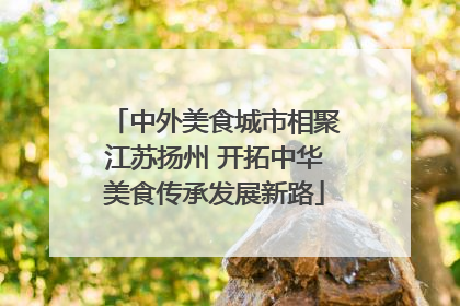 中外美食城市相聚江苏扬州 开拓中华美食传承发展新路