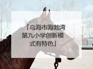 乌海市海勃湾第九小学创新模式有特色