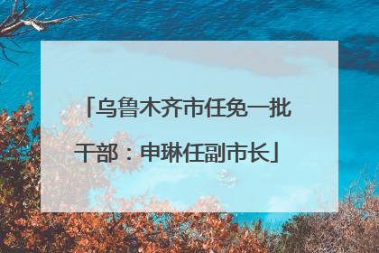 乌鲁木齐市任免一批干部：申琳任副市长