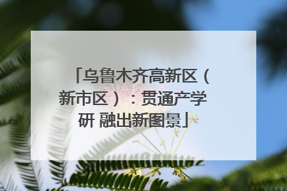 乌鲁木齐高新区（新市区）：贯通产学研 融出新图景