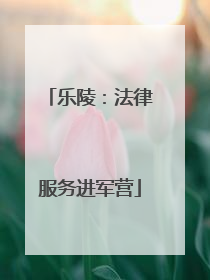 乐陵：法律服务进军营