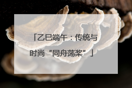 乙巳端午：传统与时尚“同舟荡桨”