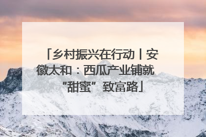 乡村振兴在行动丨安徽太和：西瓜产业铺就“甜蜜”致富路
