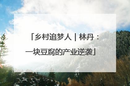 乡村追梦人｜林丹：一块豆腐的产业逆袭