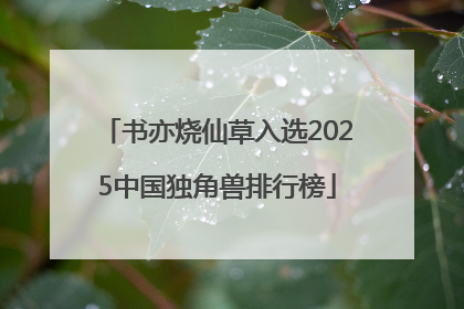 书亦烧仙草入选2025中国独角兽排行榜