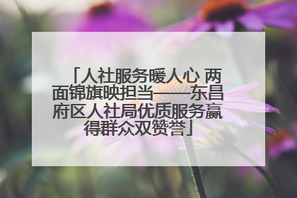 人社服务暖人心 两面锦旗映担当——东昌府区人社局优质服务赢得群众双赞誉