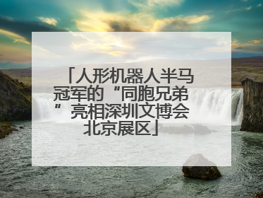 人形机器人半马冠军的“同胞兄弟”亮相深圳文博会北京展区