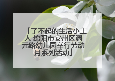 了不起的生活小主人 绵阳市安州区调元路幼儿园举行劳动月系列活动