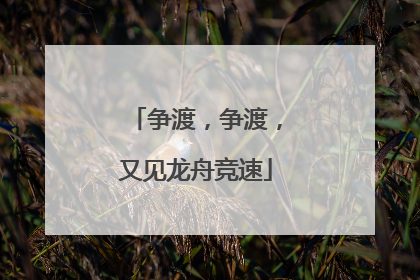 争渡，争渡，又见龙舟竞速