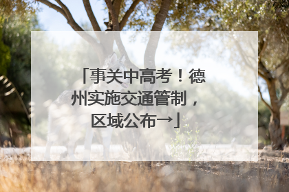 事关中高考！德州实施交通管制，区域公布→