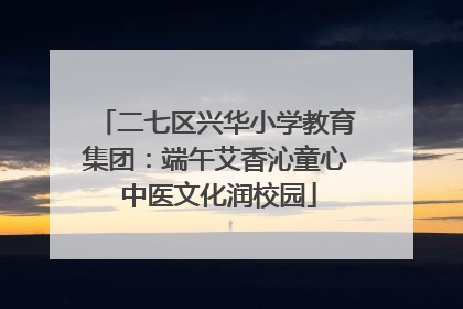 二七区兴华小学教育集团：端午艾香沁童心 中医文化润校园