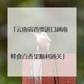 云南省首票进口越南鲜食百香果顺利通关