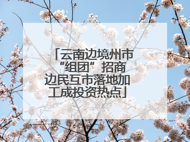 云南边境州市“组团”招商 边民互市落地加工成投资热点