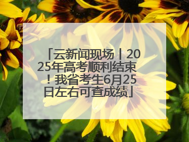 云新闻现场丨2025年高考顺利结束！我省考生6月25日左右可查成绩