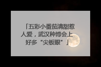 五彩小番茄清甜惹人爱，武汉种博会上好多“尖板眼”