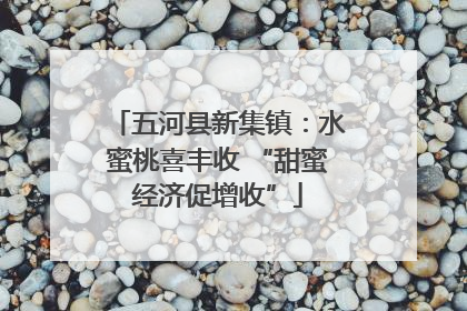 五河县新集镇：水蜜桃喜丰收 “甜蜜经济促增收”