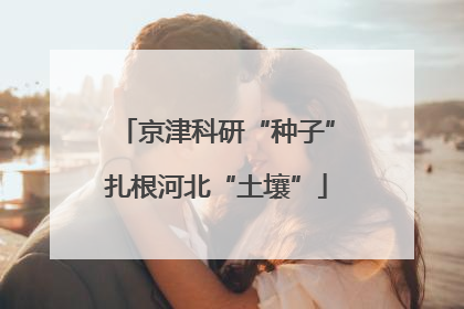 京津科研“种子”扎根河北“土壤”
