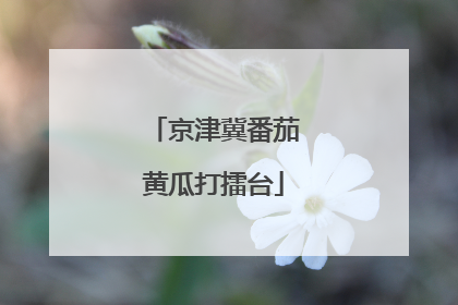 京津冀番茄黄瓜打擂台