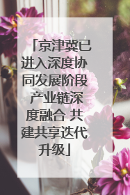京津冀已进入深度协同发展阶段 产业链深度融合 共建共享迭代升级