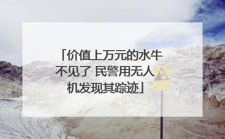 价值上万元的水牛不见了 民警用无人机发现其踪迹
