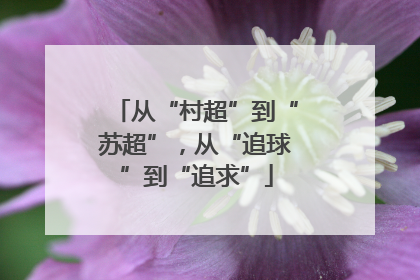 从“村超”到“苏超”，从“追球”到“追求”