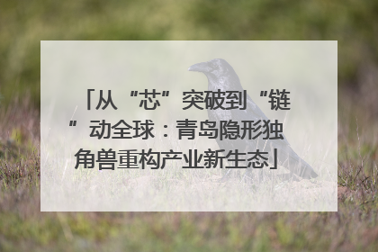 从“芯”突破到“链”动全球：青岛隐形独角兽重构产业新生态