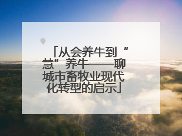 从会养牛到“慧”养牛——聊城市畜牧业现代化转型的启示