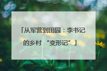 从军营到田园：李书记的乡村 “变形记”