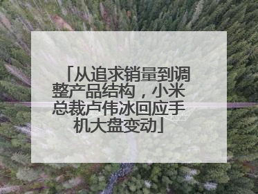 从追求销量到调整产品结构，小米总裁卢伟冰回应手机大盘变动